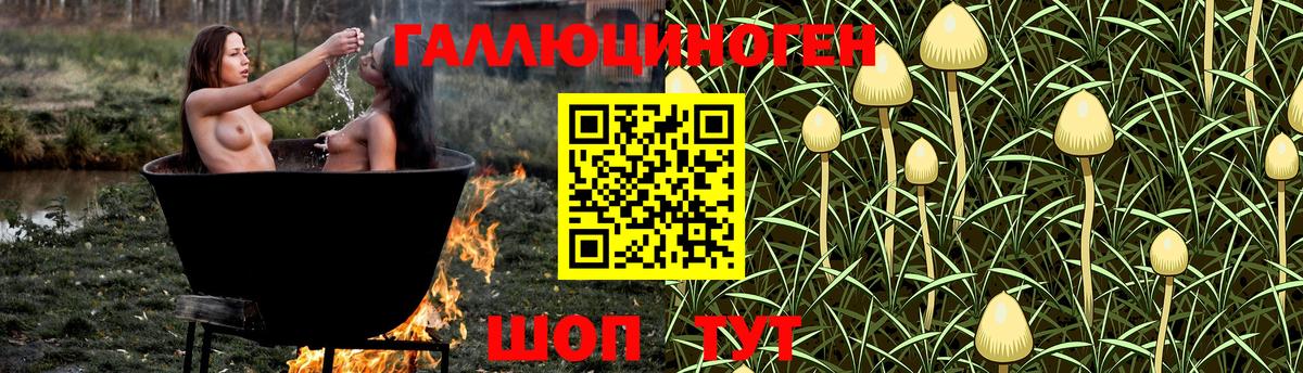 Псилоцибиновые грибы прущие грибы  Псилоцибиновые грибы прущие грибы  Вход с VPN  Первоуральск 