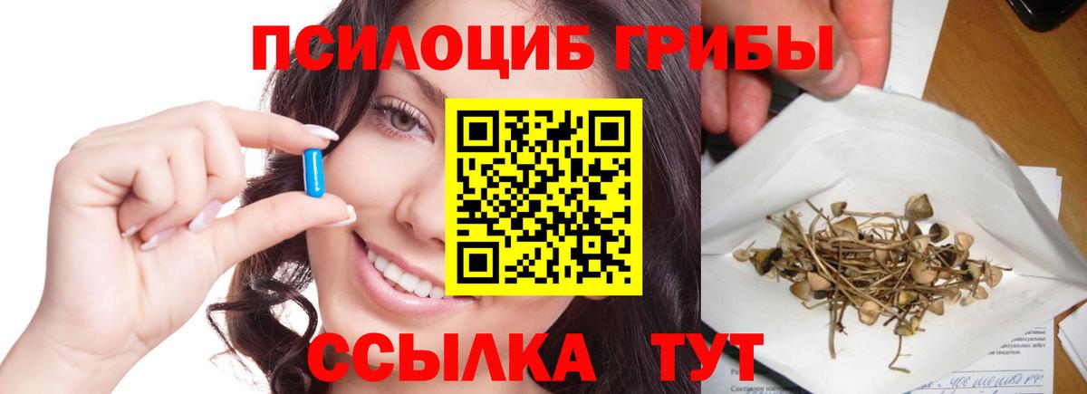Галлюциногенные грибы Psilocybe Первоуральск